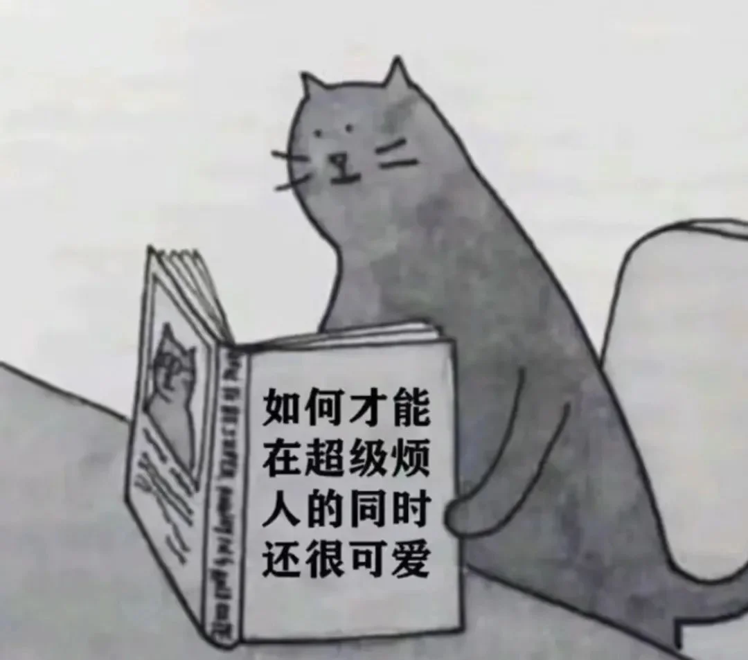 字母圈驯 服 brat 指 南 字母圈驯 服 brat 指 南