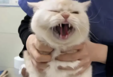 在一段字母圈关系里破大防了…………-瘾欢