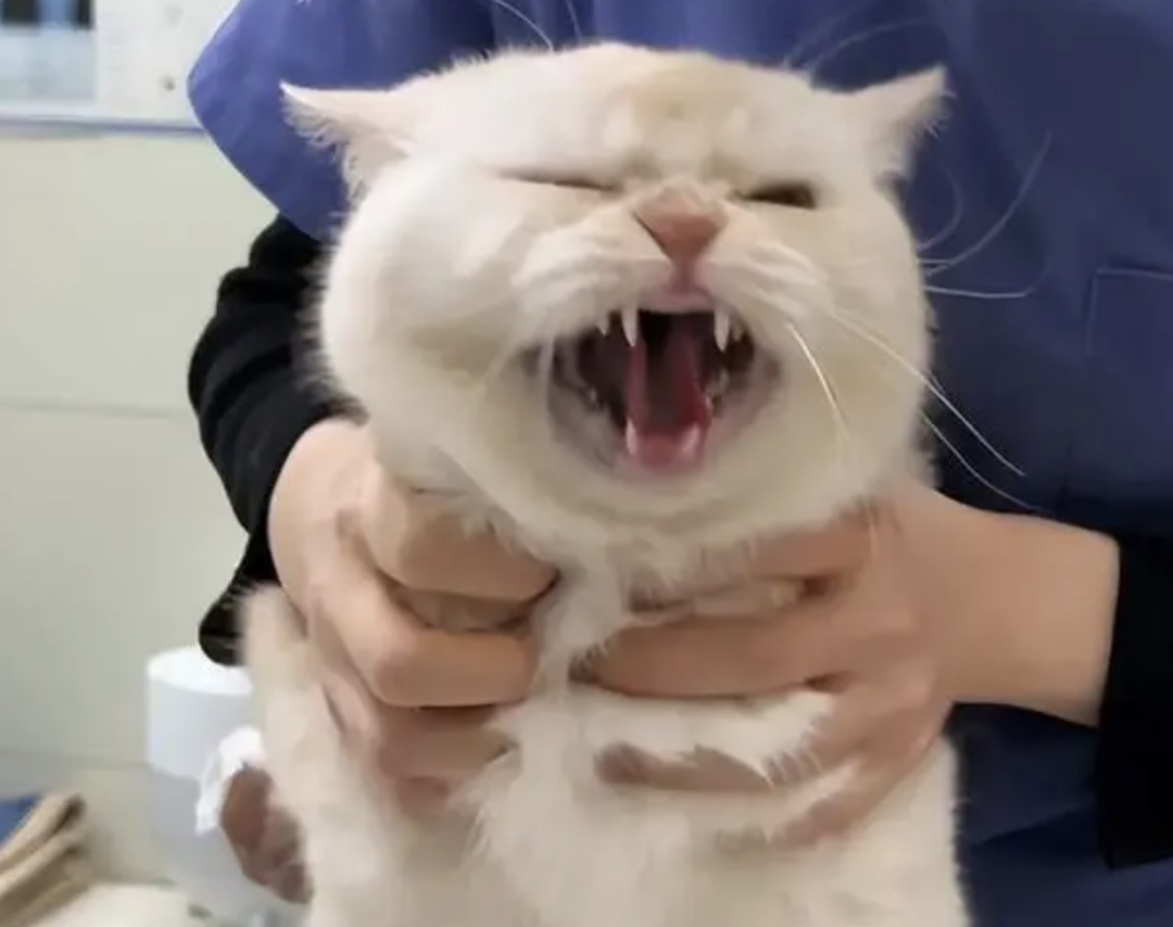 字母圈在一段bdsm关系里破大防了………… 字母圈在一段bdsm关系里破大防了…………