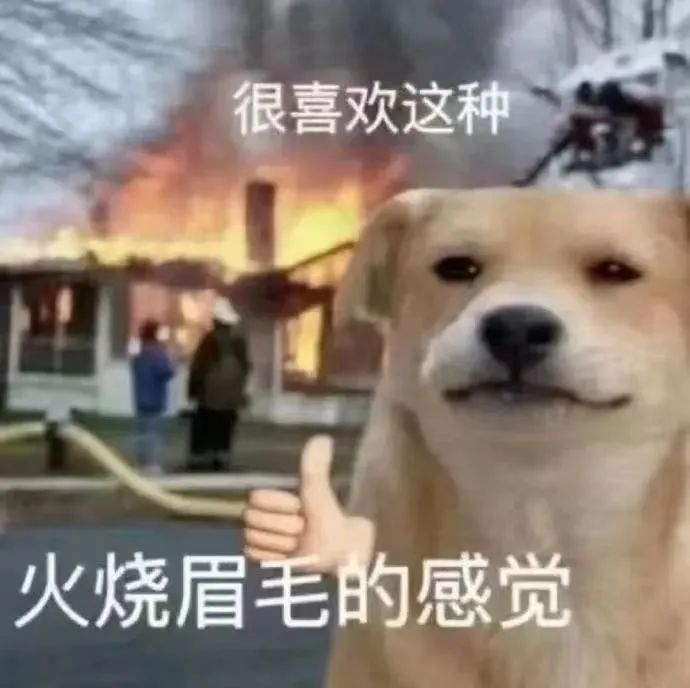 字母圈“感官剥夺的时候，我才能暂时解脱”