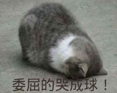 字母圈为什么X爽了之后,反而好想哭? 字母圈为什么X爽了之后,反而好想哭?