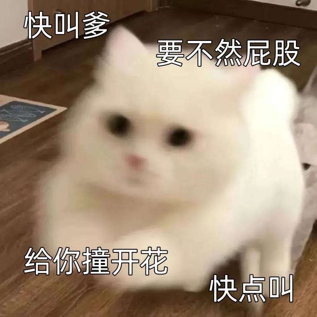 字母圈驯 服 brat 指 南 字母圈驯 服 brat 指 南