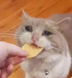 字母圈为什么X爽了之后,反而好想哭? 字母圈为什么X爽了之后,反而好想哭?