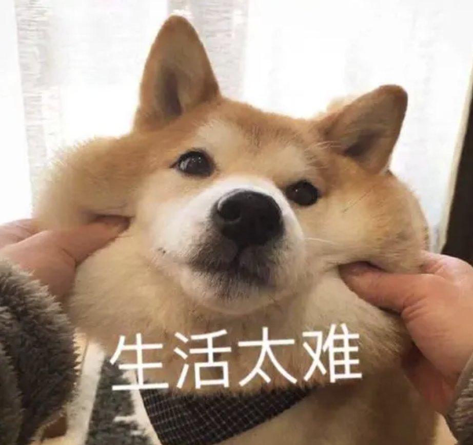 字母圈在一段bdsm关系里破大防了………… 字母圈在一段bdsm关系里破大防了…………