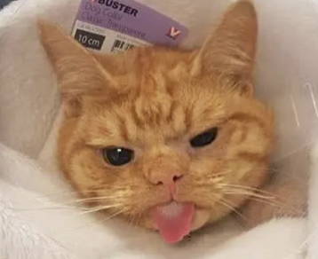 字母圈胳肢窝也可以是XP吗?有内味儿了! 字母圈胳肢窝也可以是XP吗?有内味儿了!