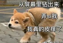 字母圈驯服brat指南-瘾欢