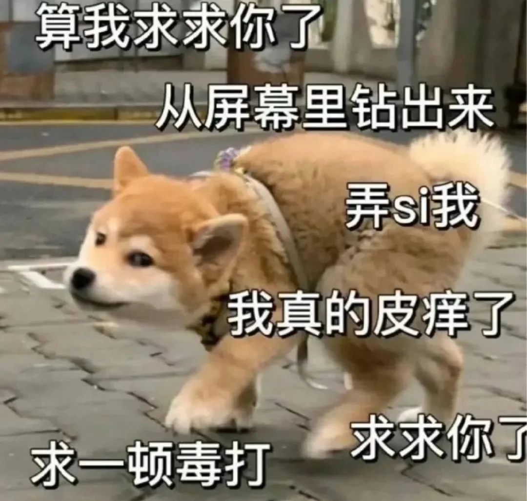 字母圈驯 服 brat 指 南 字母圈驯 服 brat 指 南