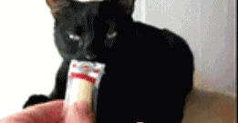 字母圈胳肢窝也可以是XP吗?有内味儿了! 字母圈胳肢窝也可以是XP吗?有内味儿了!