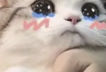 为什么X爽了之后，反而好想哭？-瘾欢