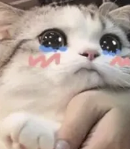 字母圈为什么X爽了之后,反而好想哭? 字母圈为什么X爽了之后,反而好想哭?