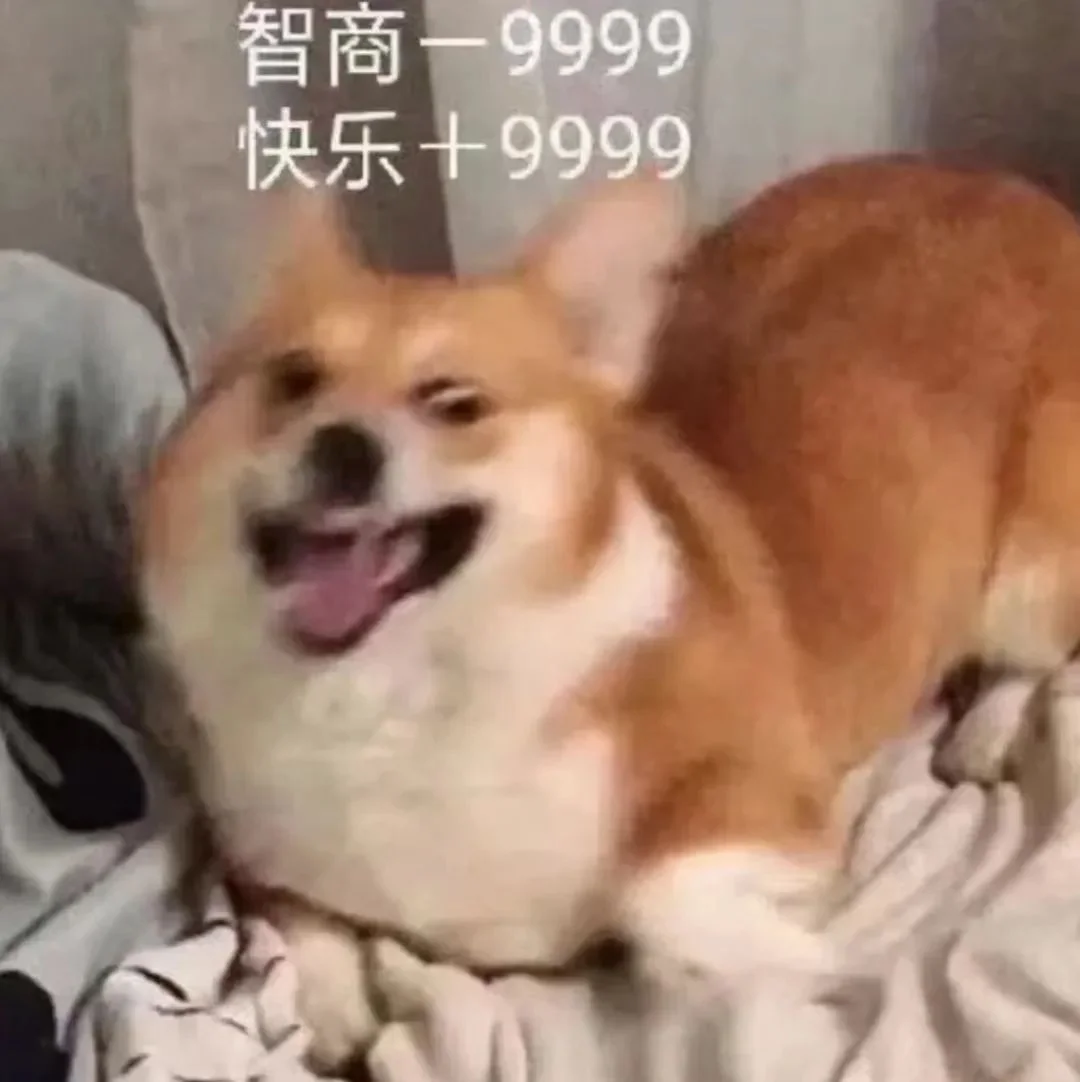 字母圈驯 服 brat 指 南 字母圈驯 服 brat 指 南