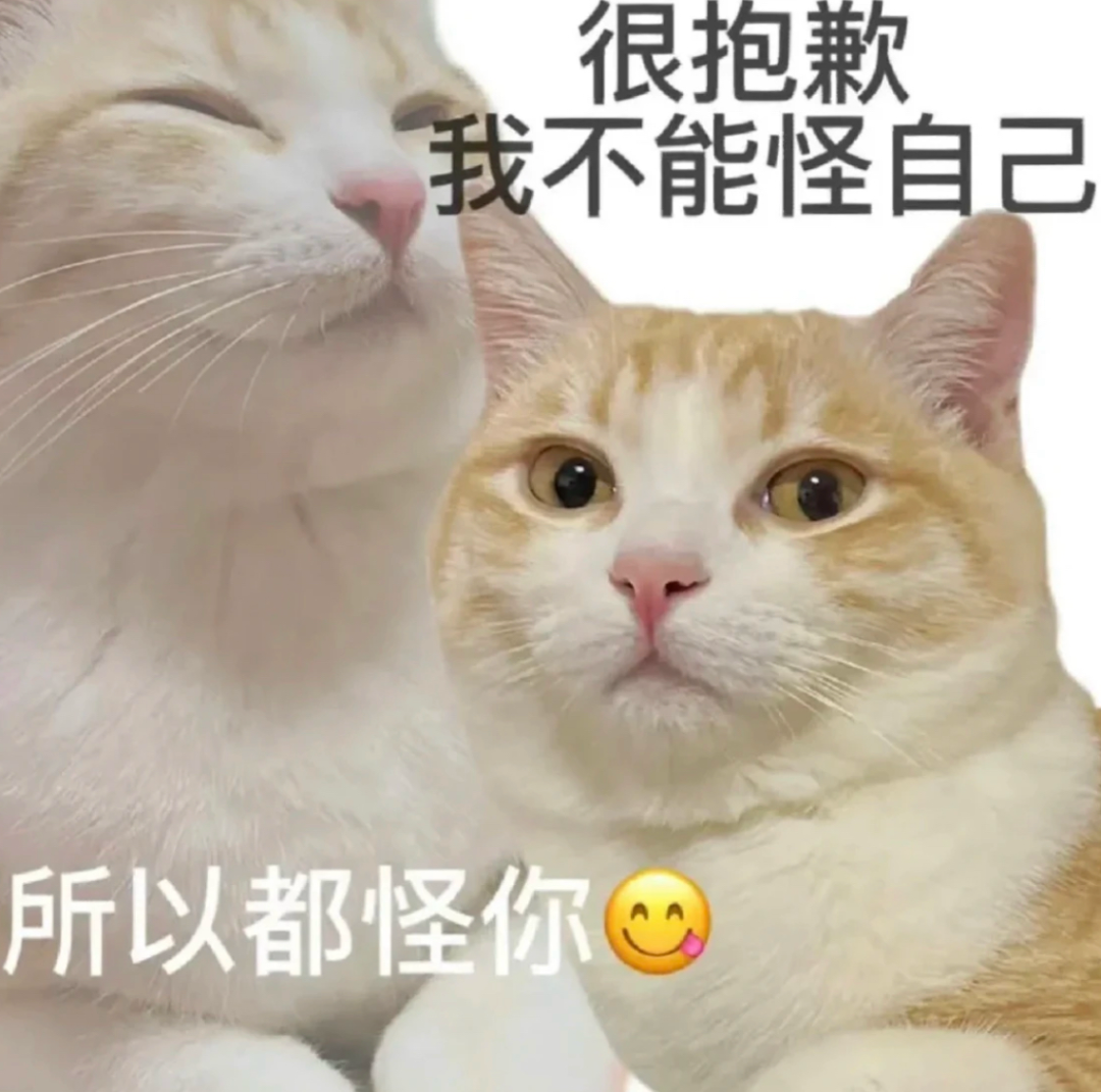 字母圈驯 服 brat 指 南 字母圈驯 服 brat 指 南