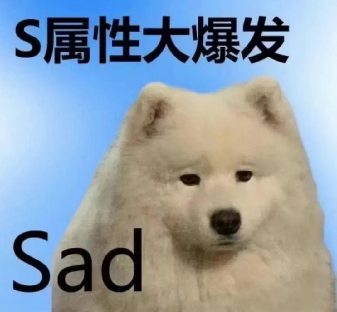 字母圈小 狗 游 戏 字母圈小 狗 游 戏