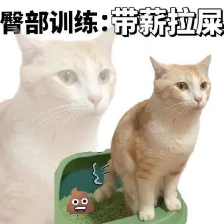 字母圈dirty talk不完全指南 字母圈dirty talk不完全指南