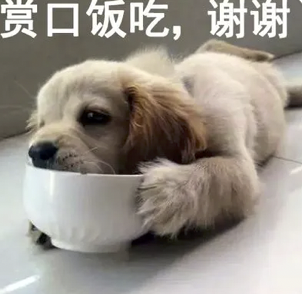 字母圈“投喂小猪”又是什么play?想试! (๑><๑) 字母圈“投喂小猪”又是什么play?想试! (๑><๑)