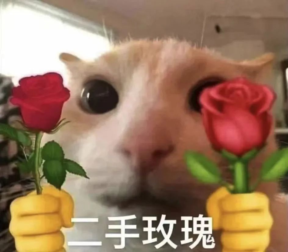 字母圈我发现自己xp的一个底层逻辑… 字母圈我发现自己xp的一个底层逻辑…