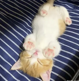 字母圈别叫我M,叫我“小祖宗”(¬‿¬) 字母圈别叫我M,叫我“小祖宗”(¬‿¬)