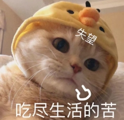 字母圈“谁身上的小狗儿味跑出来了?” 字母圈“谁身上的小狗儿味跑出来了?”