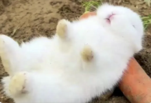 别叫我M，叫我“小祖宗”-瘾欢