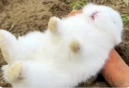 字母圈别叫我M,叫我“小祖宗”(¬‿¬) 字母圈别叫我M,叫我“小祖宗”(¬‿¬)