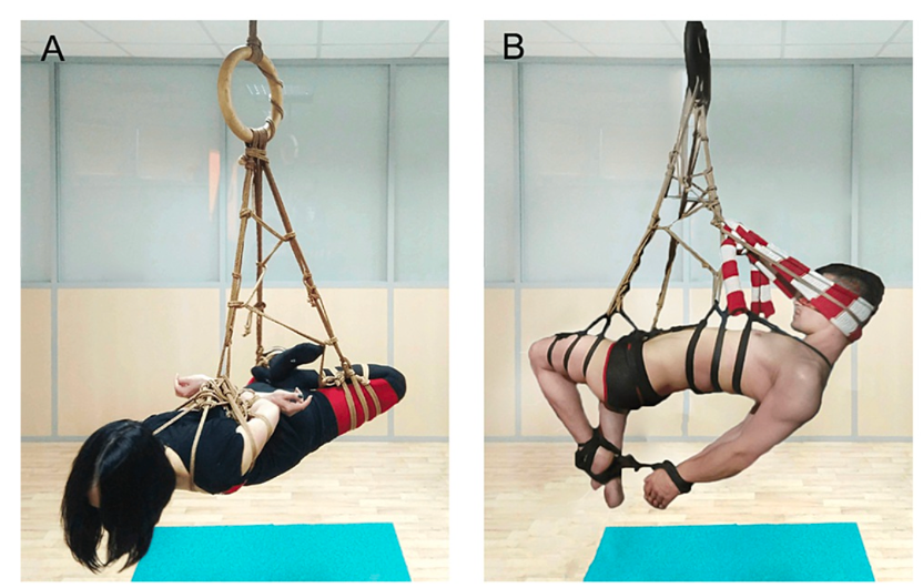 字母圈《绳缚活动中的神经损伤预防指南》 字母圈《绳缚活动中的神经损伤预防指南》