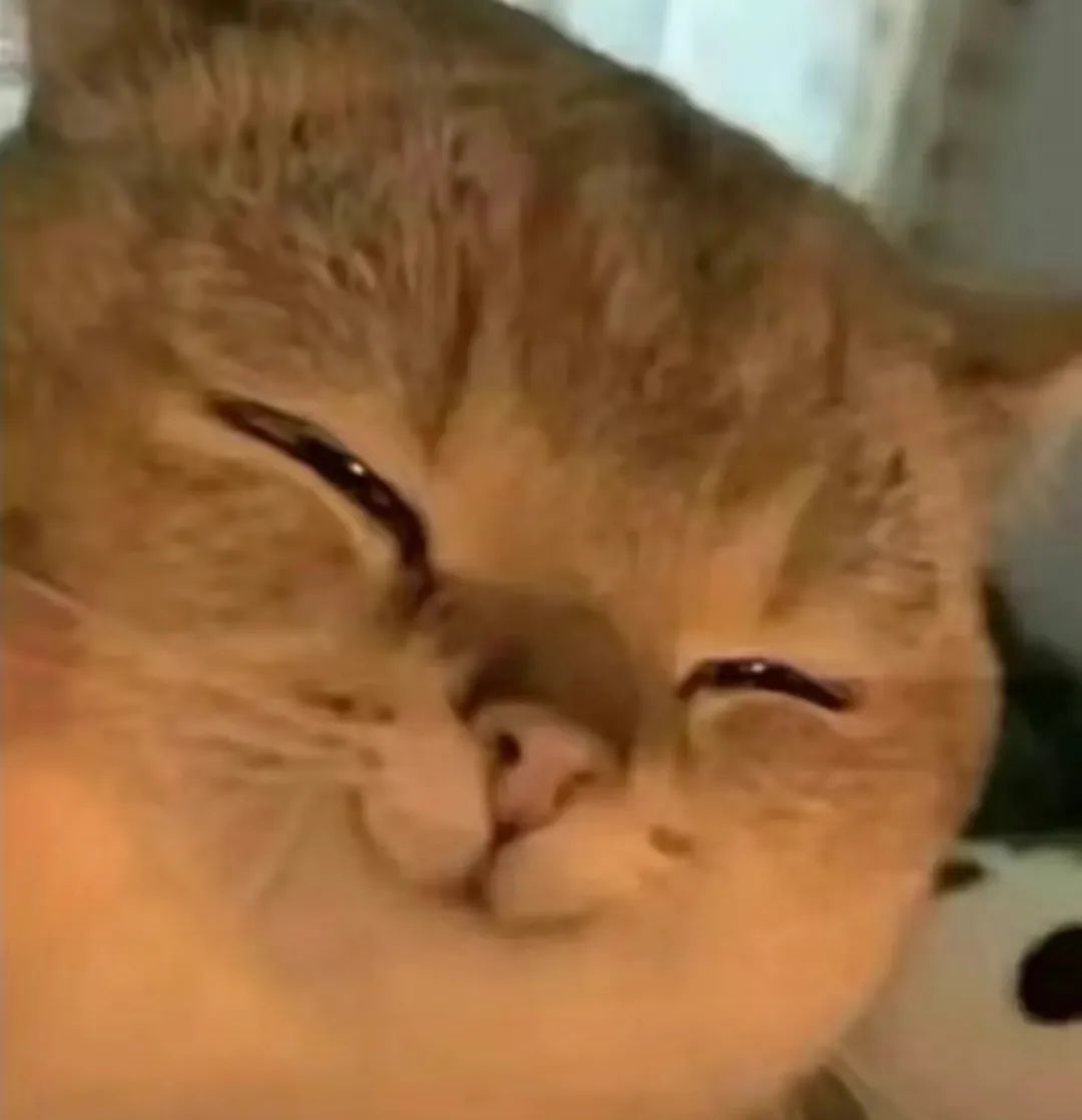 字母圈dirty talk不完全指南 字母圈dirty talk不完全指南