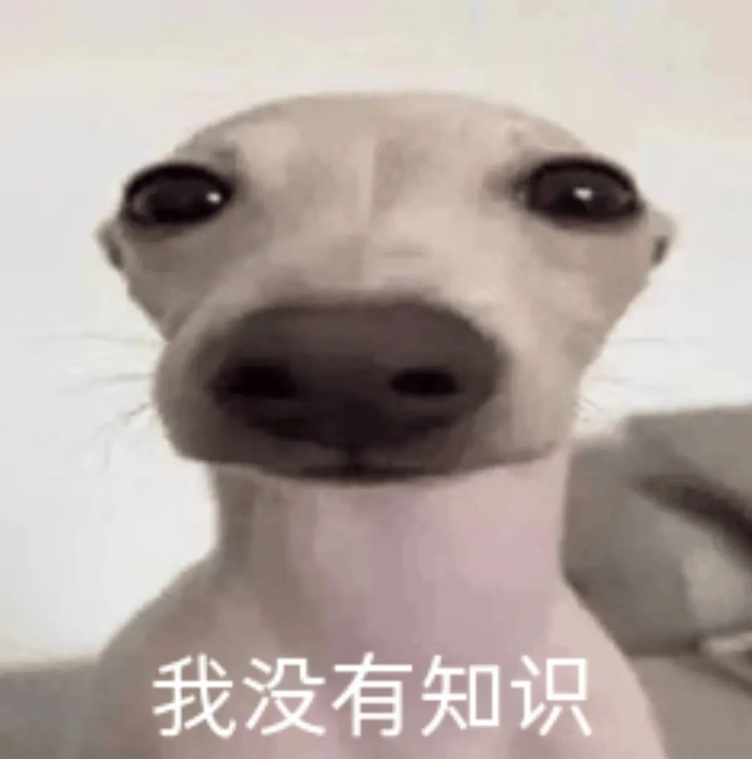 字母圈dirty talk不完全指南 字母圈dirty talk不完全指南