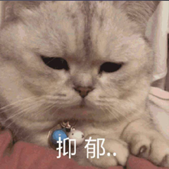 字母圈“合着圈儿里就老哥一人单着呗?” 字母圈“合着圈儿里就老哥一人单着呗?”