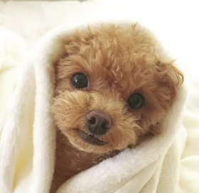 字母圈别叫我M,叫我“小祖宗”(¬‿¬) 字母圈别叫我M,叫我“小祖宗”(¬‿¬)