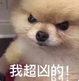 字母圈别叫我M,叫我“小祖宗”(¬‿¬) 字母圈别叫我M,叫我“小祖宗”(¬‿¬)