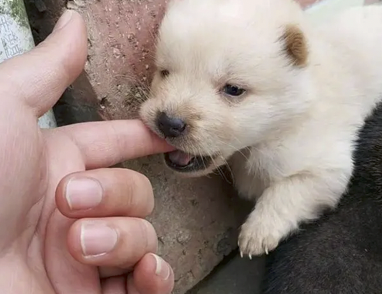 字母圈别叫我M,叫我“小祖宗”(¬‿¬) 字母圈别叫我M,叫我“小祖宗”(¬‿¬)