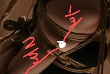 字母圈《绳缚活动中的神经损伤预防指南》 字母圈《绳缚活动中的神经损伤预防指南》