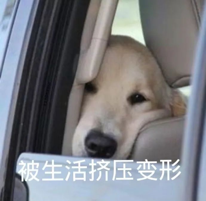 字母圈迷恋紧缚play,但日常穿衣讨厌紧绷,矛盾吗? 字母圈迷恋紧缚play,但日常穿衣讨厌紧绷,矛盾吗?