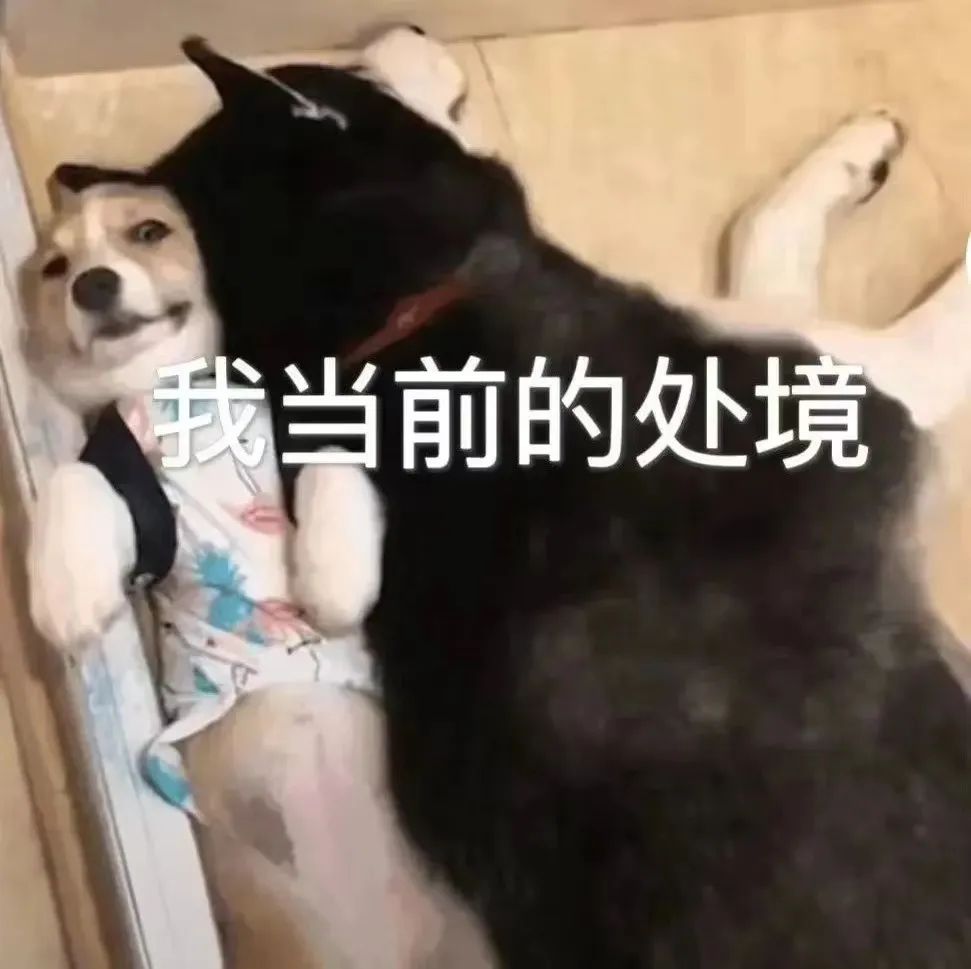 字母圈迷恋紧缚play,但日常穿衣讨厌紧绷,矛盾吗? 字母圈迷恋紧缚play,但日常穿衣讨厌紧绷,矛盾吗?