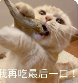 字母圈“投喂小猪”又是什么play?想试! (๑><๑) 字母圈“投喂小猪”又是什么play?想试! (๑><๑)
