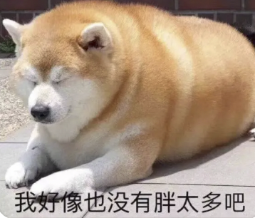 字母圈“投喂小猪”又是什么play?想试! (๑><๑) 字母圈“投喂小猪”又是什么play?想试! (๑><๑)