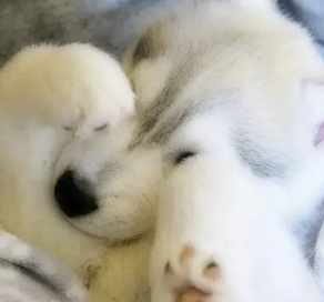 字母圈别叫我M,叫我“小祖宗”(¬‿¬) 字母圈别叫我M,叫我“小祖宗”(¬‿¬)