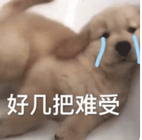 字母圈慎玩,这玩意儿比S虐多了!(≖ ◡ ≖) 字母圈慎玩,这玩意儿比S虐多了!(≖ ◡ ≖)