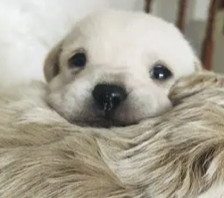 字母圈别叫我M,叫我“小祖宗”(¬‿¬) 字母圈别叫我M,叫我“小祖宗”(¬‿¬)