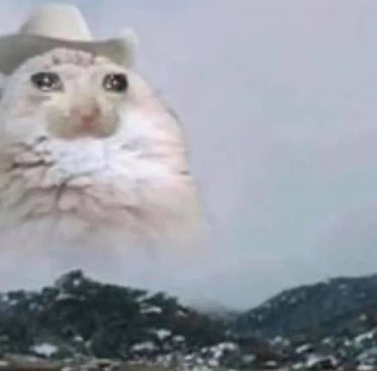 字母圈dirty talk不完全指南 字母圈dirty talk不完全指南