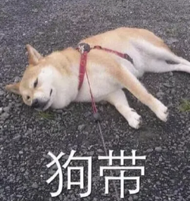 字母圈慎玩,这玩意儿比S虐多了!(≖ ◡ ≖) 字母圈慎玩,这玩意儿比S虐多了!(≖ ◡ ≖)