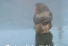 迷恋紧缚play，但日常穿衣讨厌紧绷，矛盾吗？-瘾欢