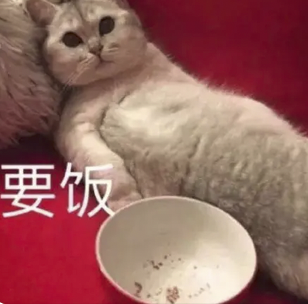 字母圈“投喂小猪”又是什么play?想试! (๑><๑) 字母圈“投喂小猪”又是什么play?想试! (๑><๑)