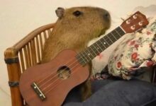 字母圈我发现自己xp的一个底层逻辑…-瘾欢