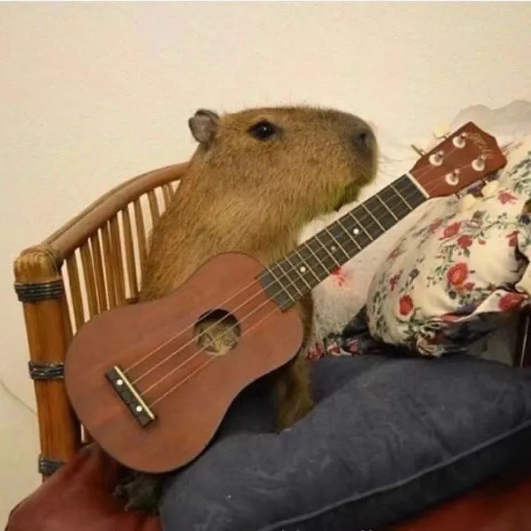 字母圈我发现自己xp的一个底层逻辑… 字母圈我发现自己xp的一个底层逻辑…