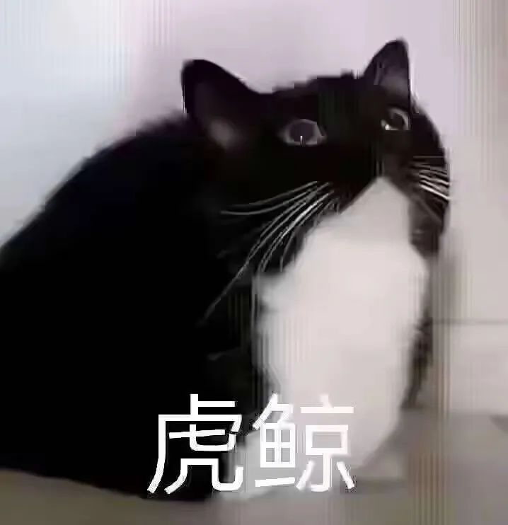 字母圈我发现自己xp的一个底层逻辑… 字母圈我发现自己xp的一个底层逻辑…