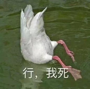 字母圈“xp:来姐妹,哭!” 字母圈“xp:来姐妹,哭!”