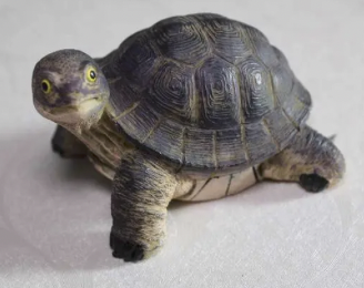 字母圈别叫我M,叫我“小祖宗”(¬‿¬) 字母圈别叫我M,叫我“小祖宗”(¬‿¬)