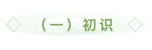 字母圈粉丝投稿|管教不只是责罚,更是一种氛围,我的自洽之旅 字母圈粉丝投稿|管教不只是责罚,更是一种氛围,我的自洽之旅