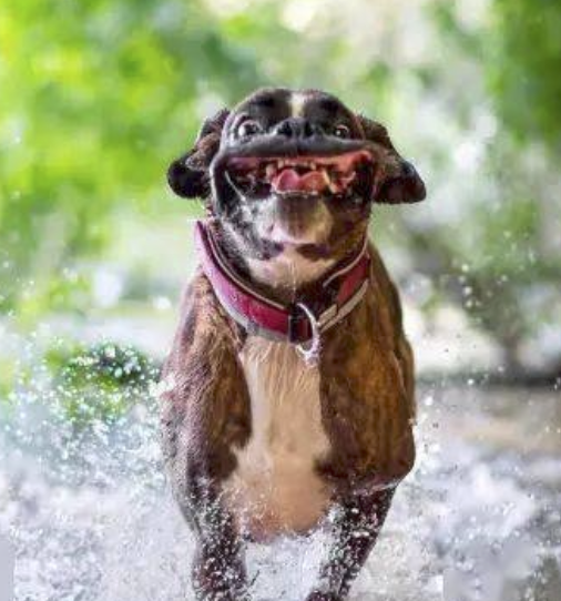 字母圈慎玩,这玩意儿比S虐多了!(≖ ◡ ≖) 字母圈慎玩,这玩意儿比S虐多了!(≖ ◡ ≖)